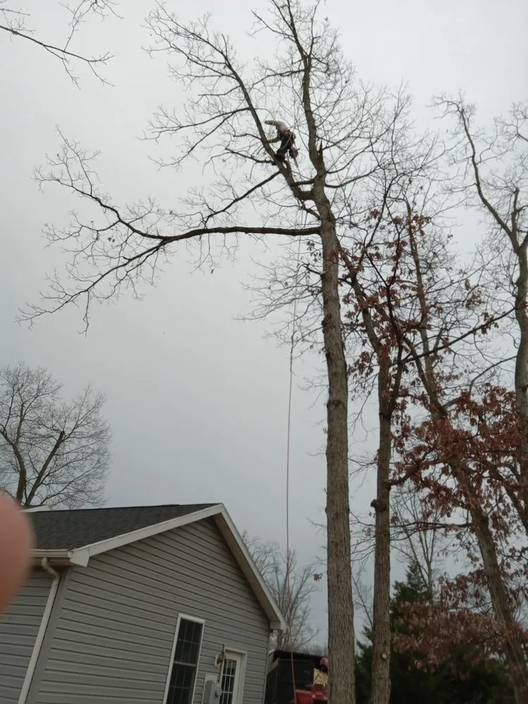 Professional residential landscaping in Gordonsville, VA by Abbys Dads Tree and Landscaping