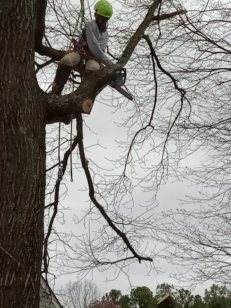 Reliable landscaping services for beautiful yards in Gordonsville, VA by Abbys Dads Tree and Landscaping