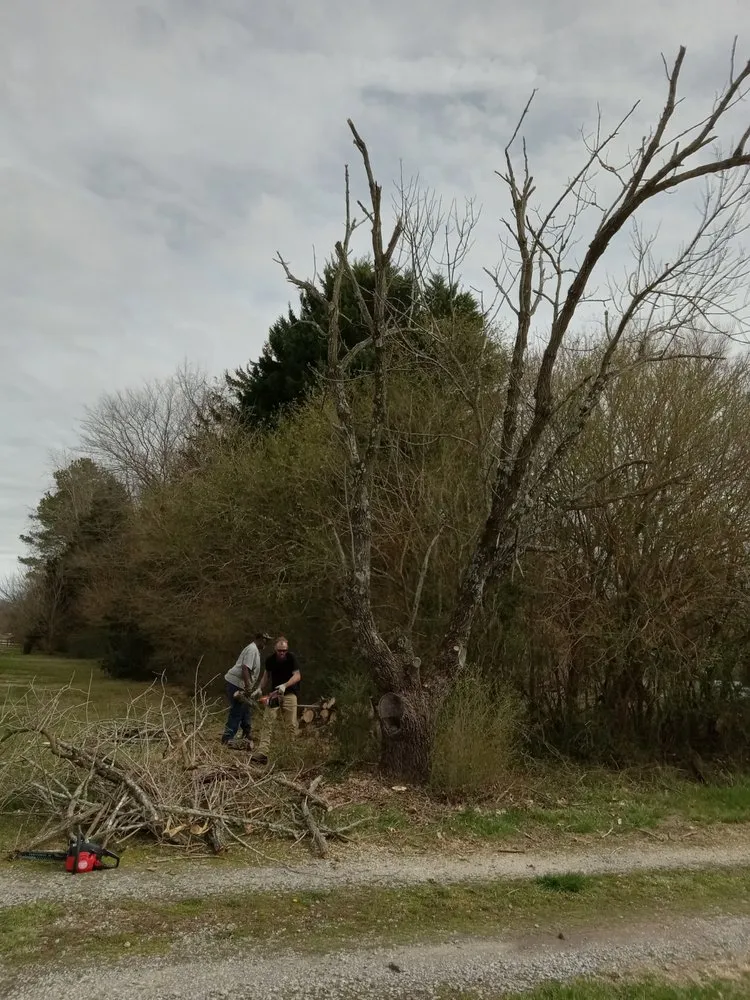 Custom landscape design in Gordonsville, VA by Abbys Dads Tree and Landscaping