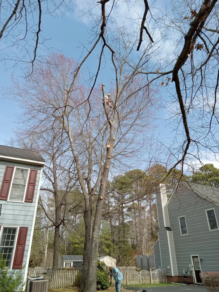 Reliable residential landscaping in Gordonsville, VA - Abbys Dads Tree and Landscaping