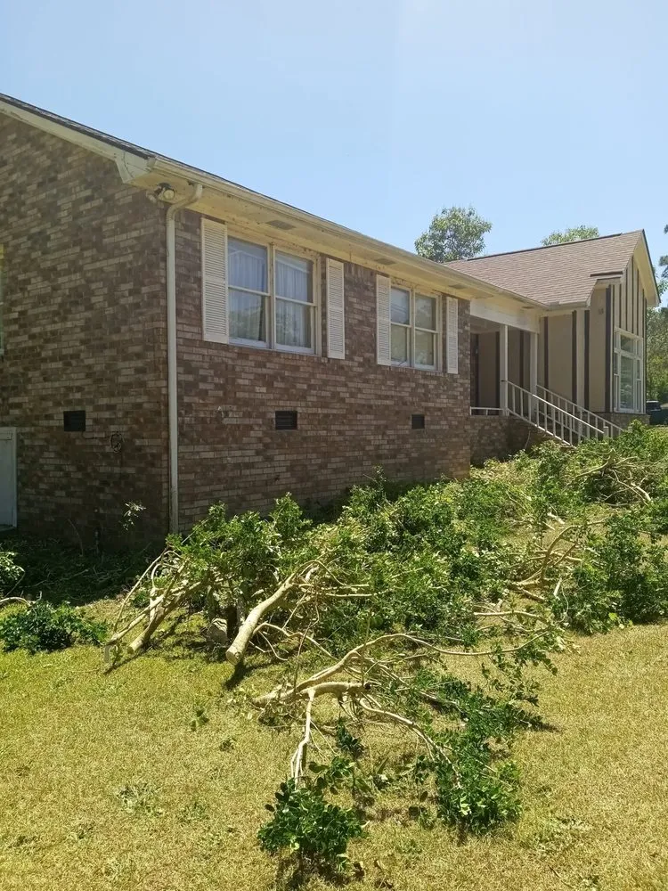 Custom landscape installation in North Charleston, SC - ABC Bright