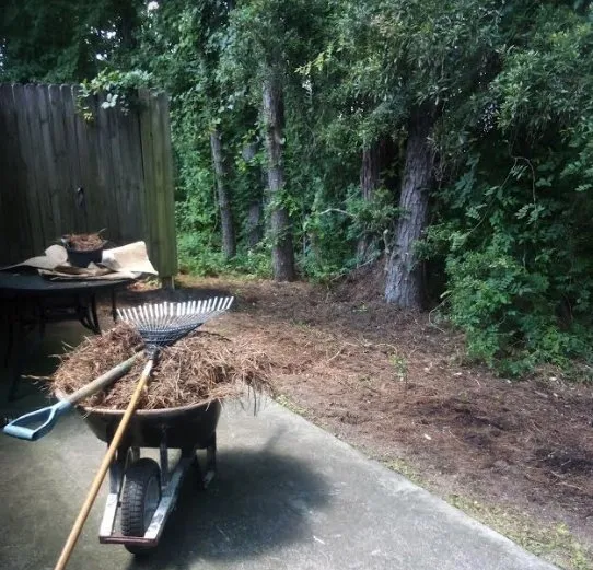 Top-rated lawn mowing service experts serving North Charleston, SC - ABC Bright