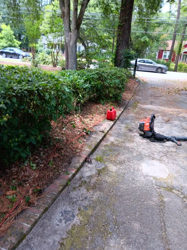 Expert landscape design experts serving North Charleston, SC - ABC Bright