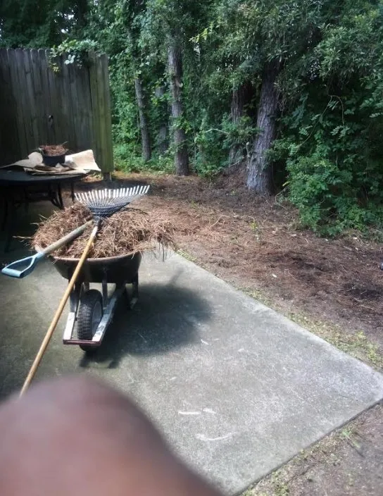 Professional yard cleanup service in North Charleston, SC - ABC Bright
