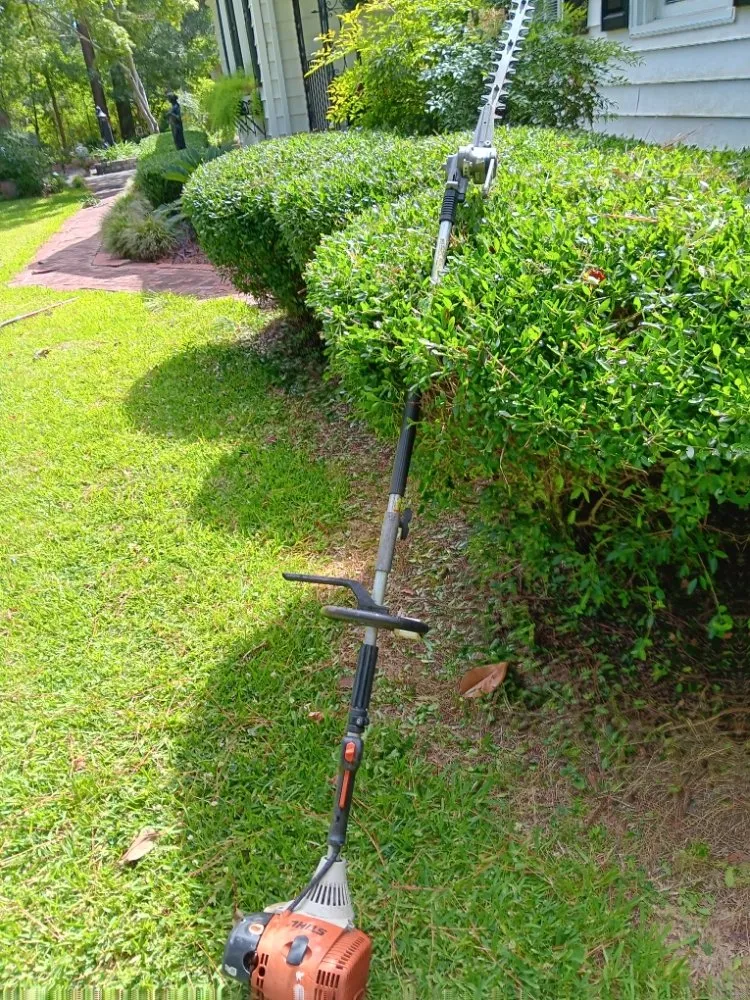 Local yard cleanup service for outdoor upgrades in North Charleston, SC by ABC Bright