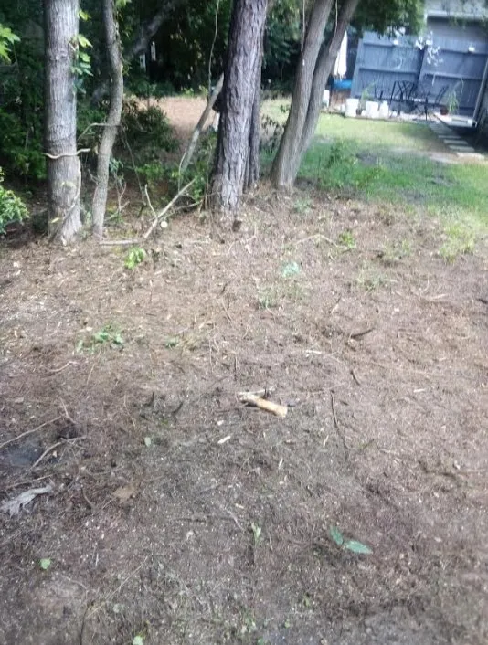 Custom yard maintenance in North Charleston, SC by ABC Bright