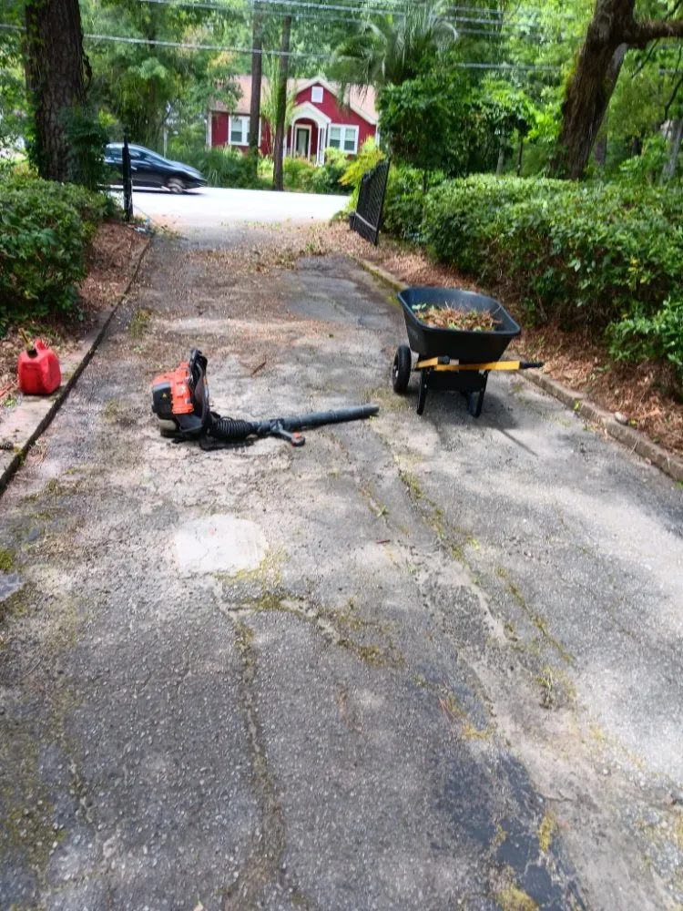 Professional garden landscaping in North Charleston, SC - ABC Bright