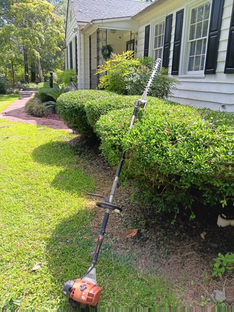 Affordable yard cleanup service in North Charleston, SC by ABC Bright