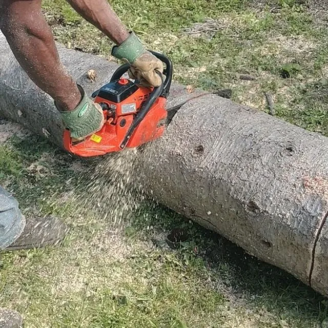 Reliable garden landscaping experts serving Grosse Pointe, MI - ABC Co., Landscaping