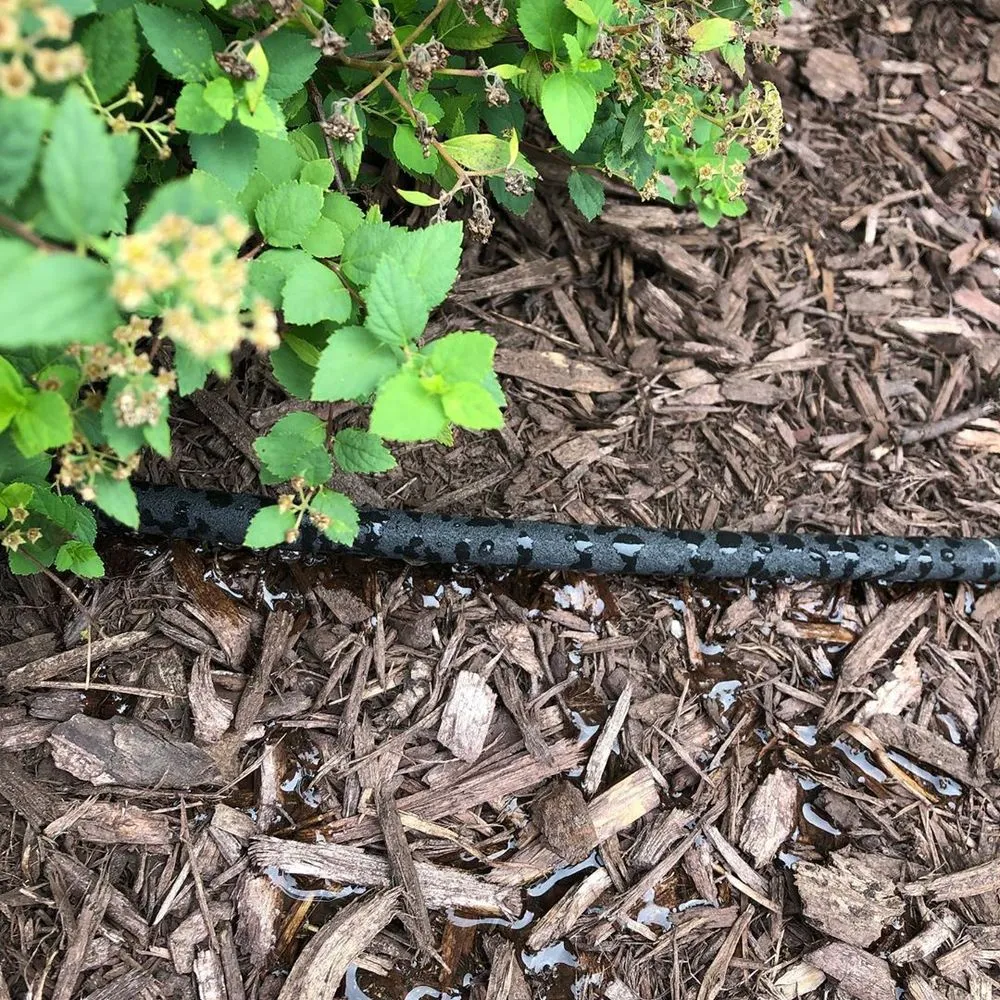 Expert landscape design in Grosse Pointe, MI by ABC Co., Landscaping