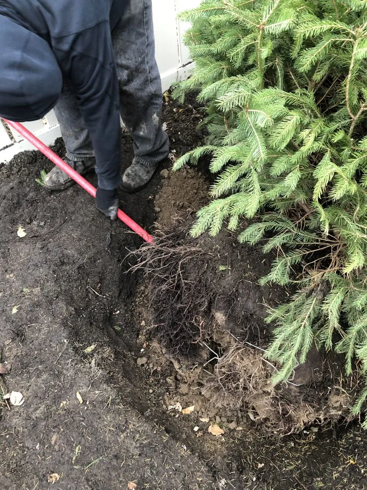 Custom outdoor landscaping for beautiful yards across Grosse Pointe, MI - ABC Co., Landscaping