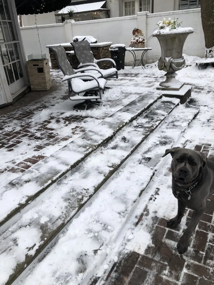 Expert residential landscaping experts serving Grosse Pointe, MI - ABC Co., Landscaping