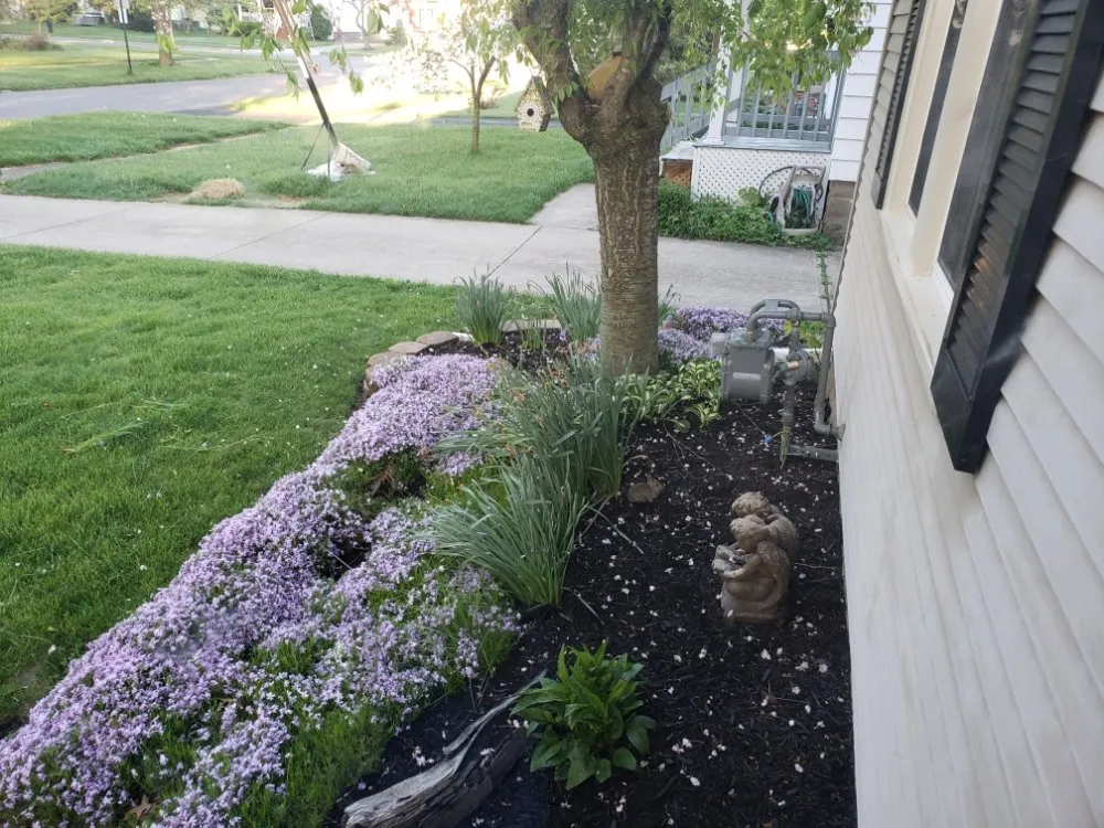 Top-rated yard maintenance experts serving Elyria, OH - ABC Commercial Services