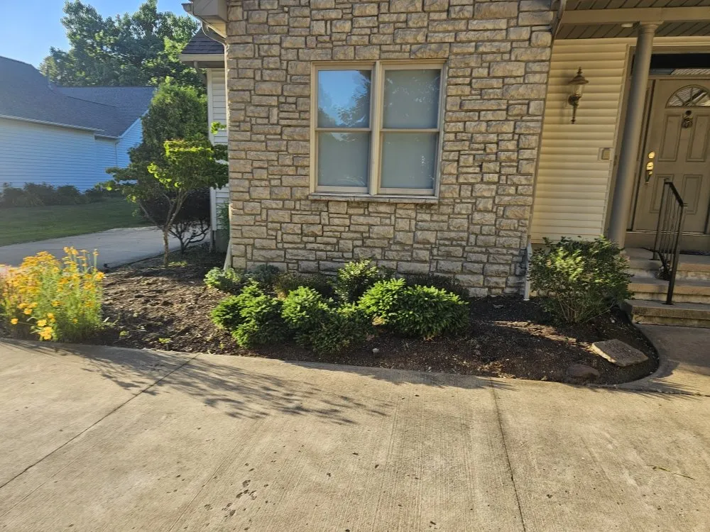 Reliable yard cleanup service in Elyria, OH - ABC Commercial Services