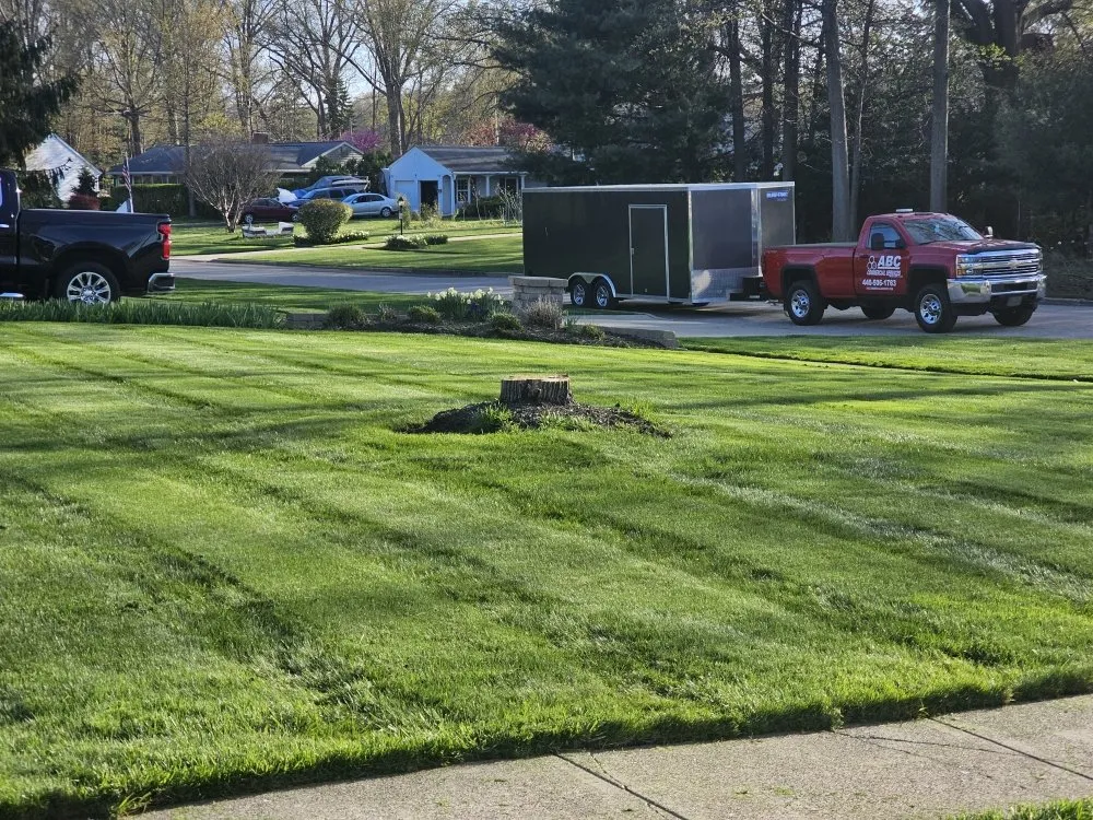 Top-rated yard cleanup service for year-round maintenance in Elyria, OH by ABC Commercial Services