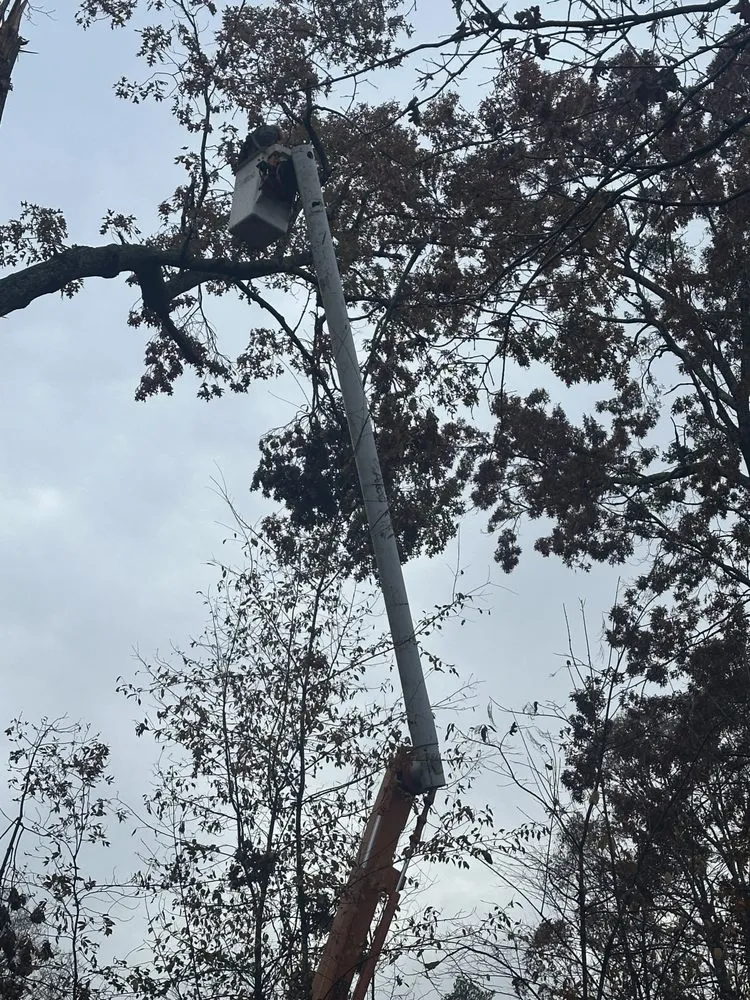 Custom lawn mowing service in Greer, SC by ABC Doors & More