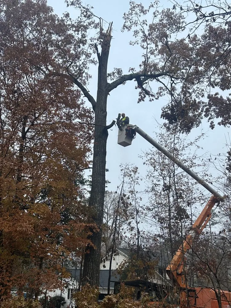 Expert residential landscaping in Greer, SC by ABC Doors & More