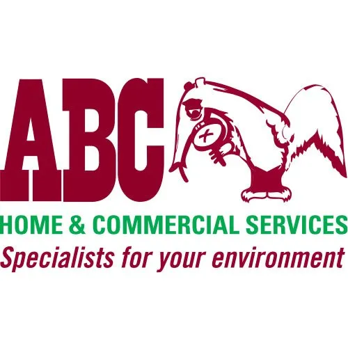 Top-rated yard cleanup service in Belton, TX by ABC Home & Commercial Services
