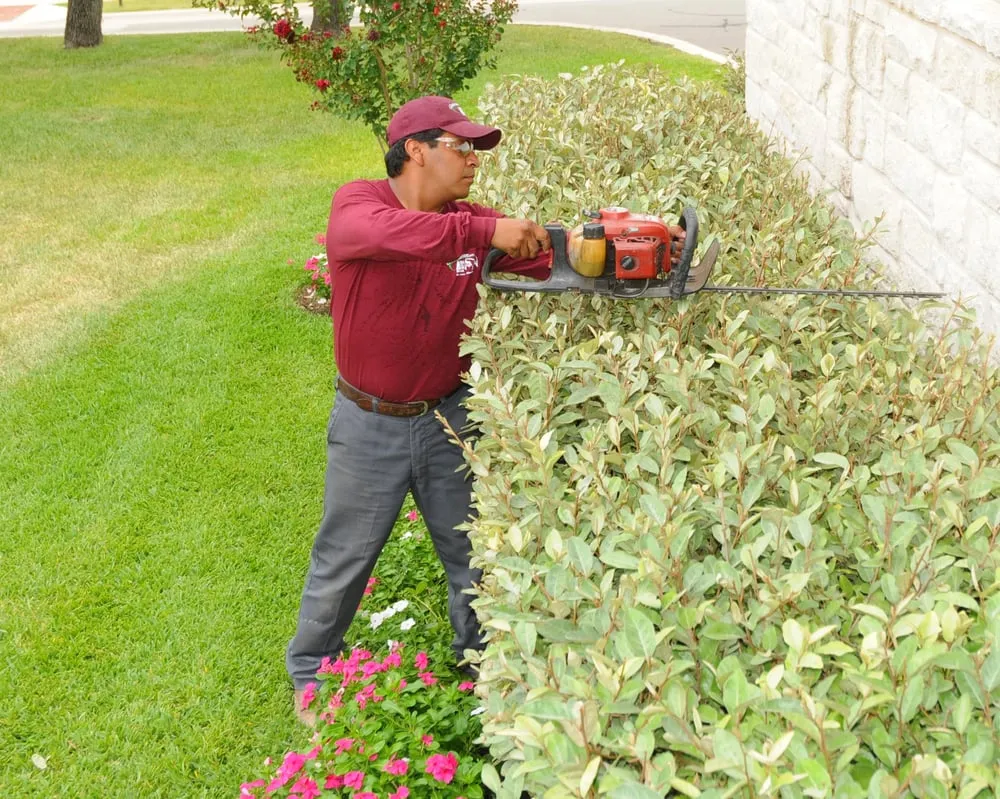 Expert landscaping services for residential properties across Corpus Christi, TX - ABC Home & Commercial Services