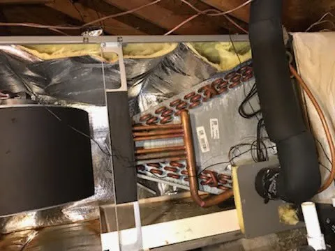 Reliable outdoor landscaping experts serving Corpus Christi, TX - ABC Home & Commercial Services