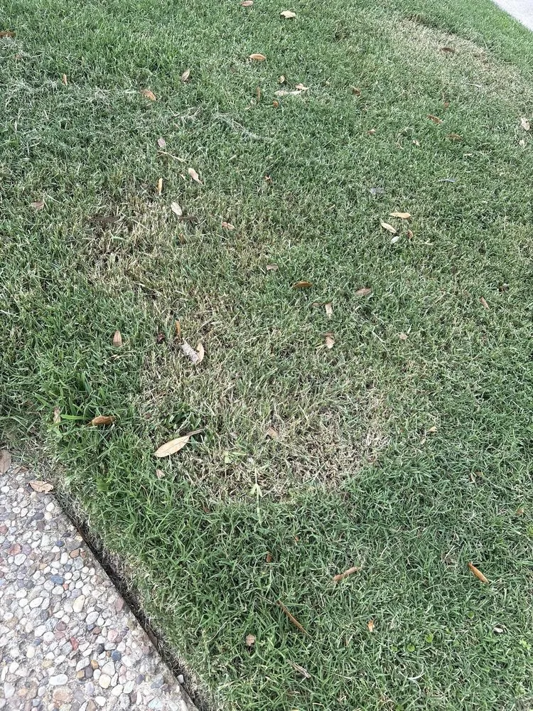 Professional yard maintenance experts serving Houston, TX - ABC Home & Commercial Services