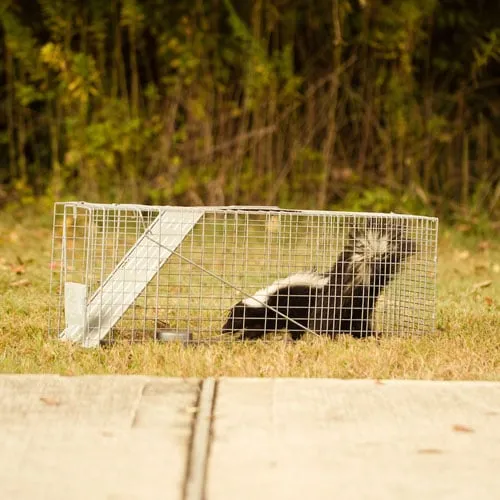 Custom landscaping services in Houston, TX - ABC Home & Commercial Services