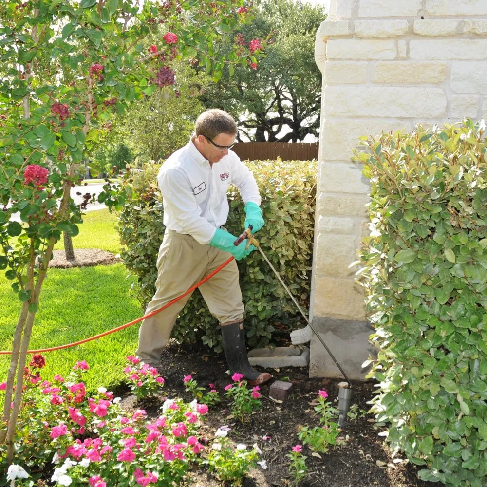 Custom landscape design in Tyler, TX - ABC Home & Commercial Services