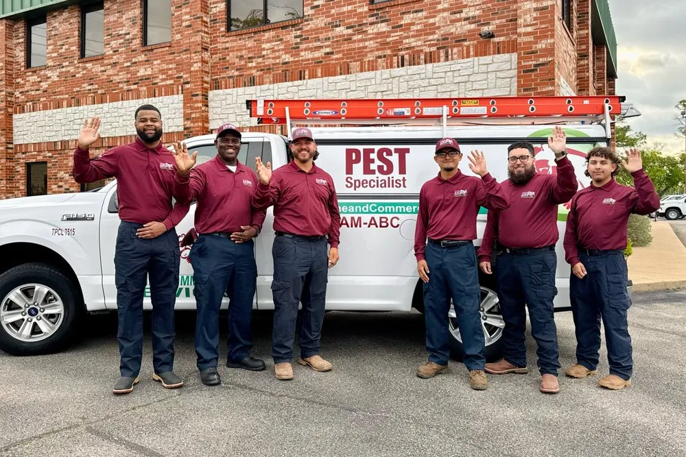 Custom landscape installation for beautiful yards across Lewisville, TX - ABC Home and Commercial Services Of DFW