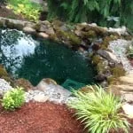 Trusted yard cleanup service in Happy Valley, OR - ABC Land and Paint, Inc.