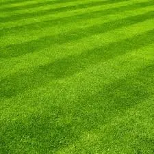 Expert yard cleanup service in Saylorsburg, PA by ABC Landscaping and Lawn Care