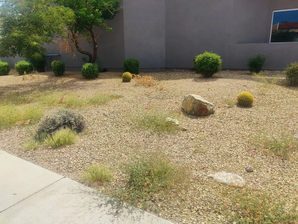 Affordable garden landscaping with custom design across Gilbert, AZ - ABC Landscaping