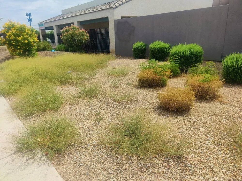 Affordable residential landscaping in Gilbert, AZ - ABC Landscaping