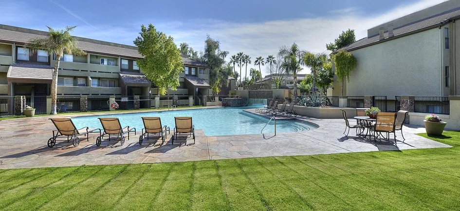 Local yard cleanup service in Gilbert, AZ - ABC Landscaping