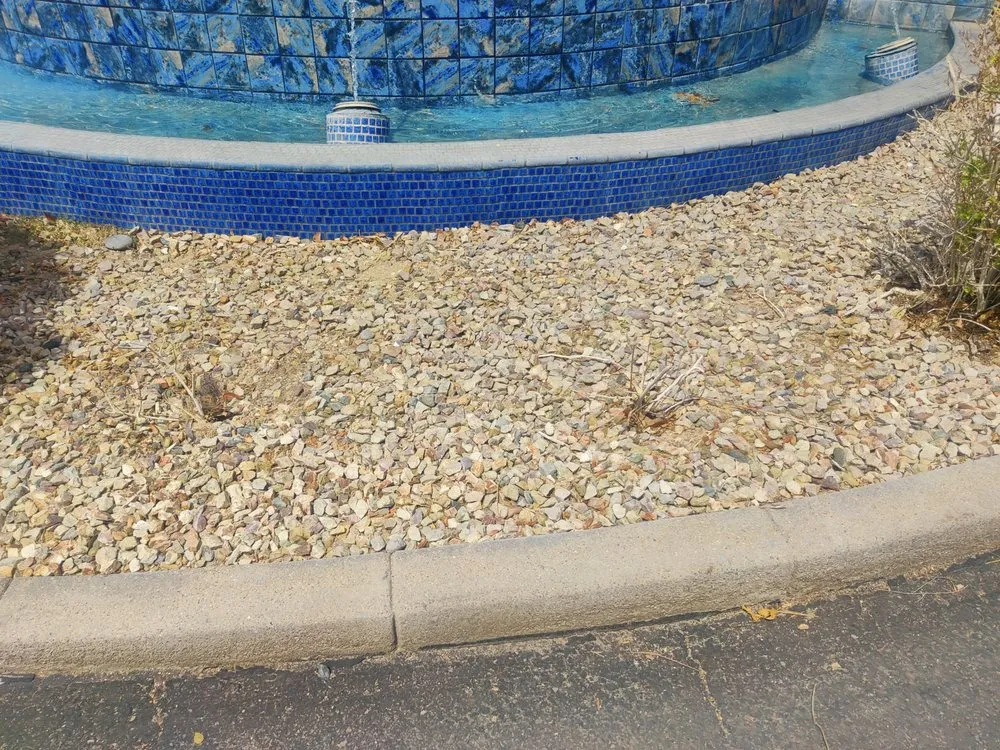 Professional yard cleanup service experts serving Gilbert, AZ - ABC Landscaping