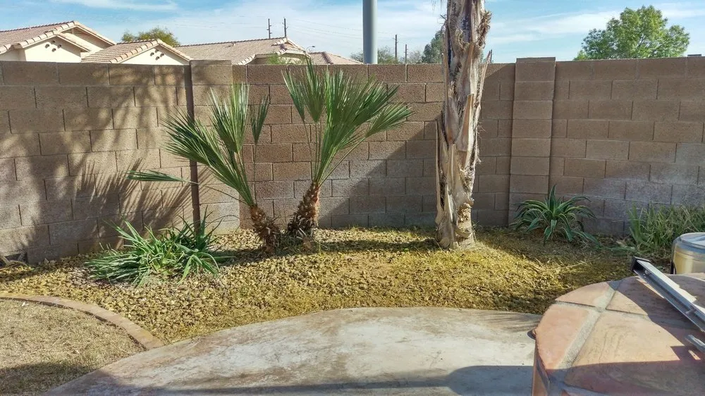 Reliable yard cleanup service for beautiful yards across Gilbert, AZ - ABC Landscaping