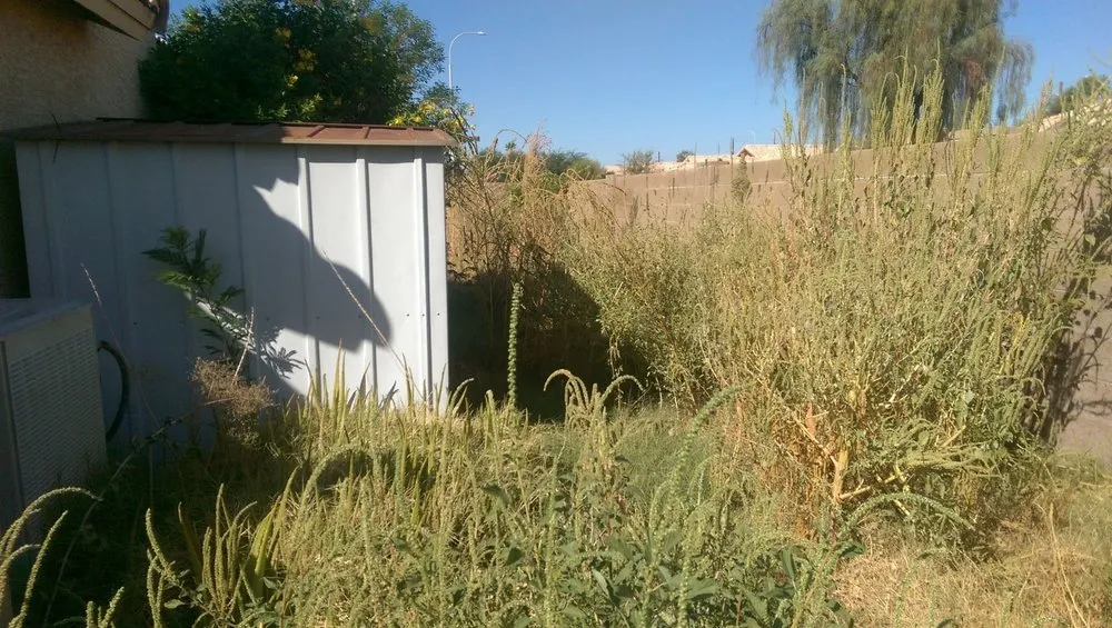 Local landscape installation in Gilbert, AZ by ABC Landscaping