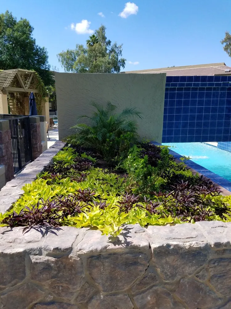 Expert residential landscaping in Gilbert, AZ by ABC Landscaping