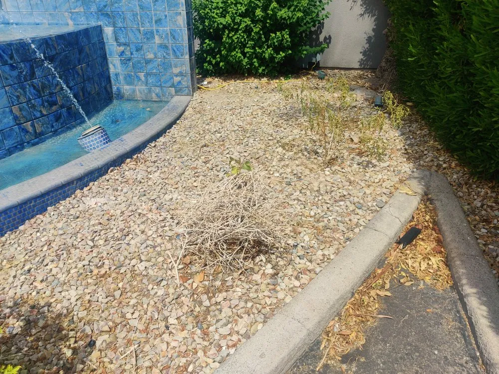 Trusted yard cleanup service with custom design across Gilbert, AZ - ABC Landscaping
