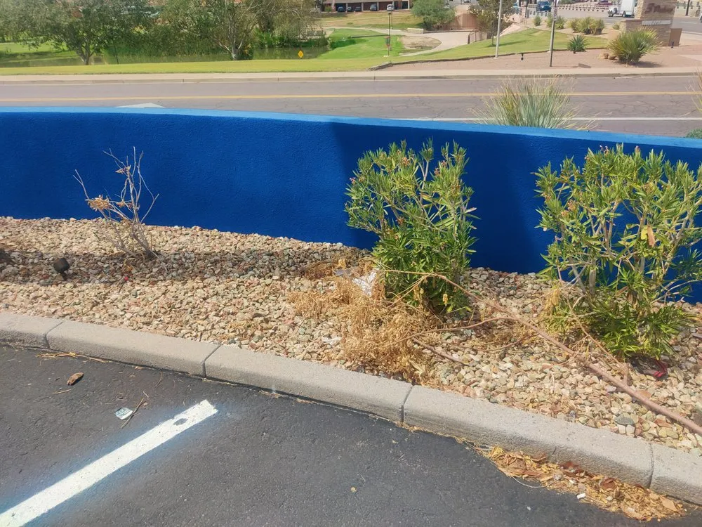 Local yard cleanup service with custom design across Gilbert, AZ - ABC Landscaping
