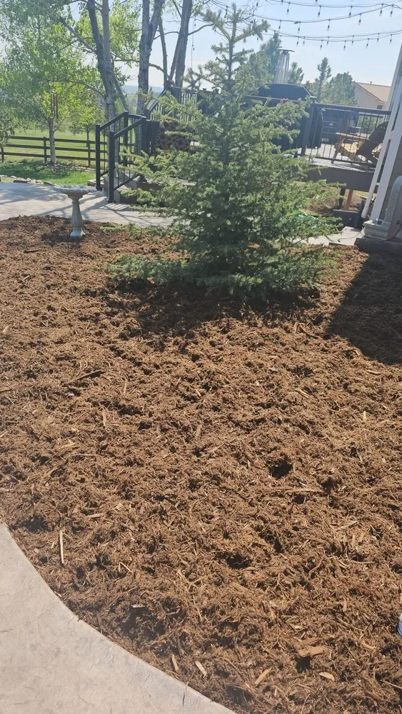 Reliable lawn mowing service experts serving Monument, CO - ABC Lawn & Landscaping Services