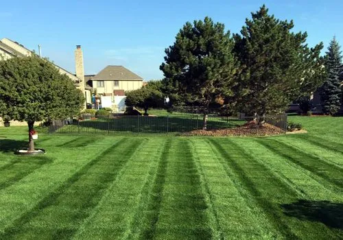 Affordable yard cleanup service in Shelby Township, MI - ABC Lawn Care & Landscaping