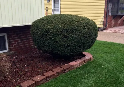 Custom landscape installation in Shelby Township, MI - ABC Lawn Care & Landscaping