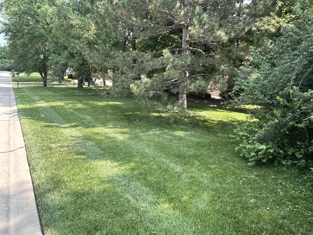 Affordable lawn care service in Florissant, MO by ABC Lawn Care Experts