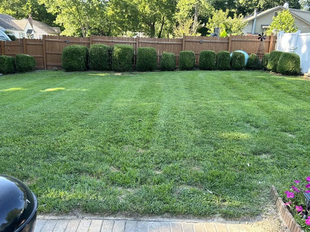 Trusted yard maintenance near you in Florissant, MO by ABC Lawn Care Experts