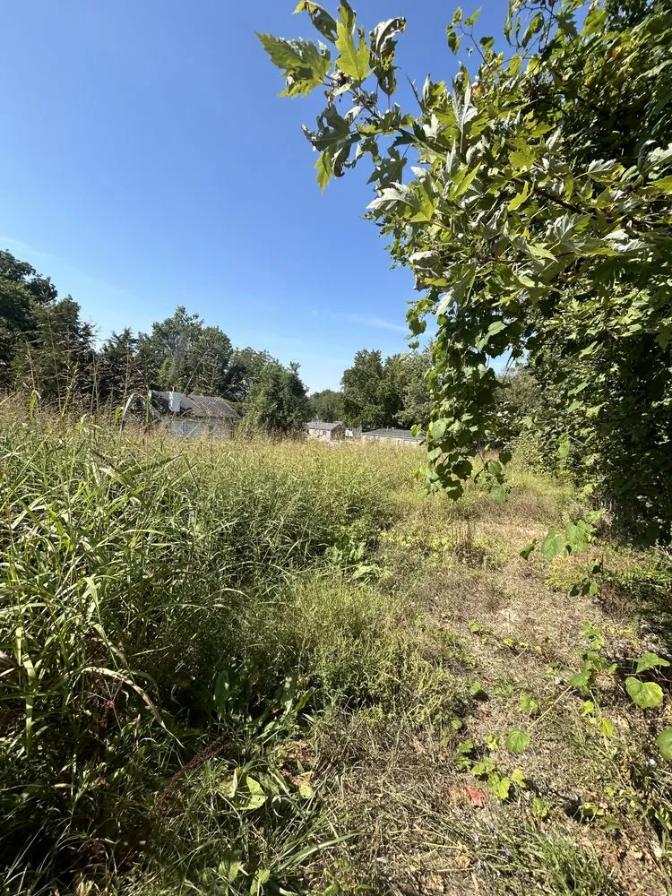 Affordable residential landscaping for outdoor upgrades across Florissant, MO - ABC Lawn Care Experts