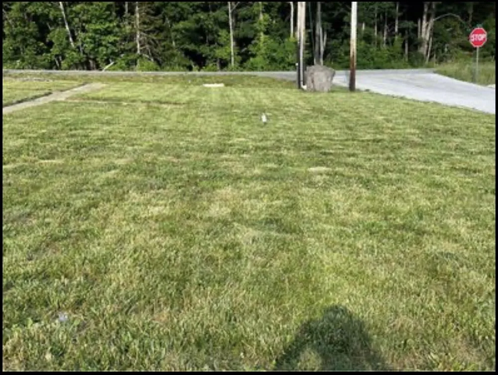 Expert yard cleanup service in Florissant, MO by ABC Lawn Care Experts