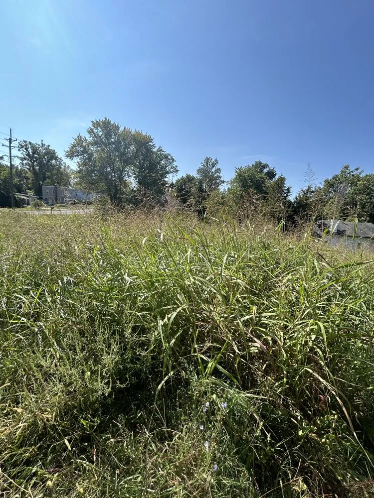 Reliable landscape design in Florissant, MO by ABC Lawn Care Experts