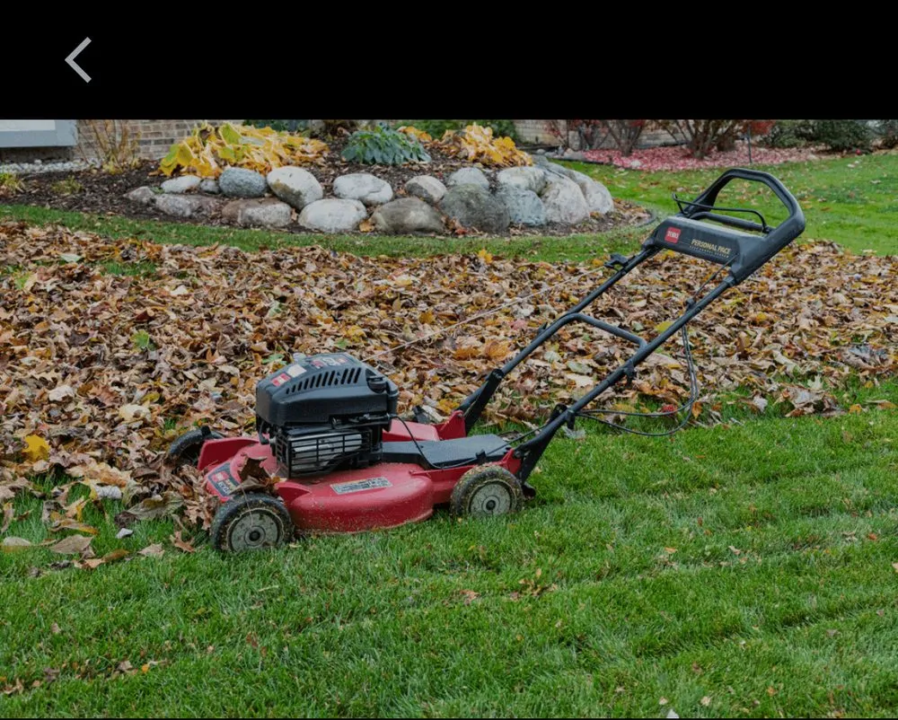 Professional residential landscaping in Florissant, MO - ABC Lawn Care Experts