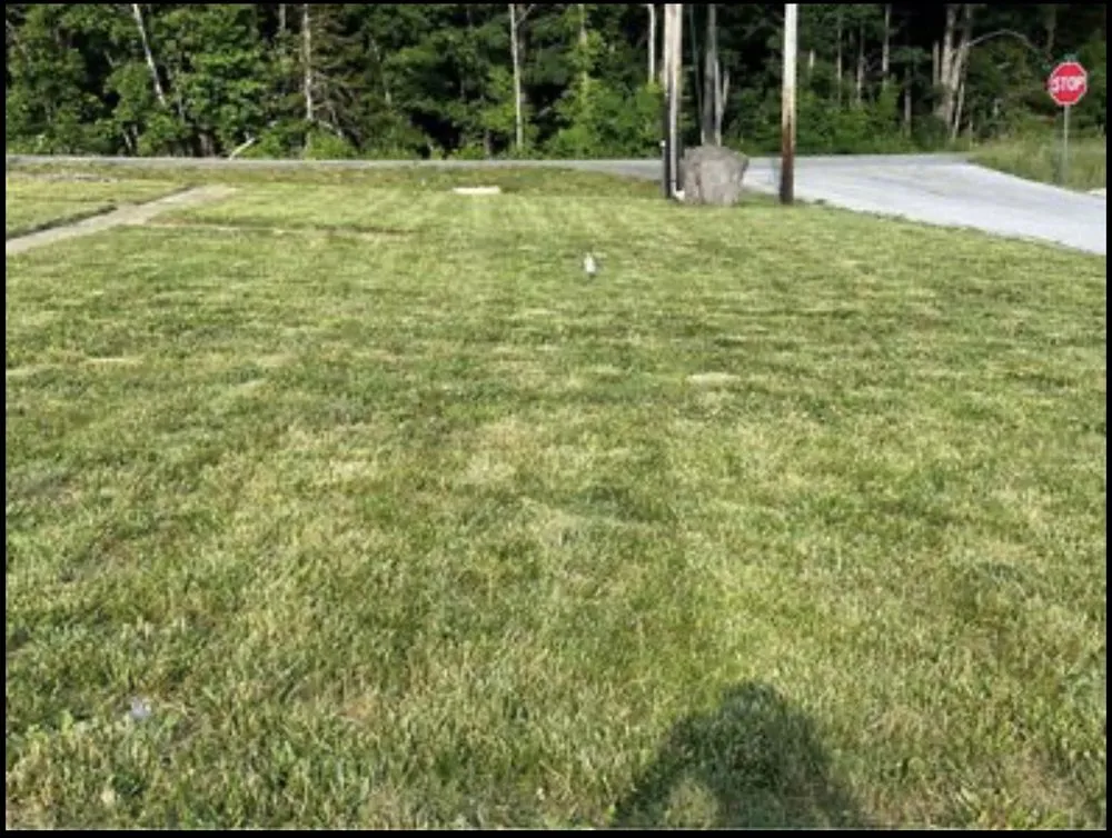 Affordable outdoor landscaping in Florissant, MO by ABC Lawn Care Experts