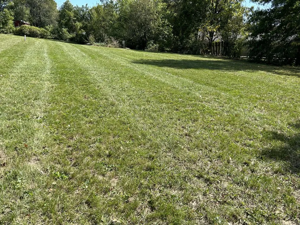 Custom residential landscaping for year-round maintenance in Florissant, MO by ABC Lawn Care Experts